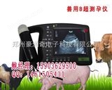 HRQ-3000AV豪潤(rùn)奇*的B超是哪一款