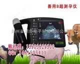 HRQ-2000AV豪潤(rùn)奇HRQ-2000AV獸用B超