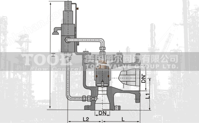 先導(dǎo)式泄壓安全閥技術(shù)參數(shù)